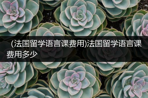 （法国留学语言课费用)法国留学语言课费用多少