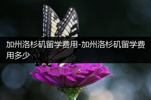 加州洛杉矶留学费用-加州洛杉矶留学费用多少