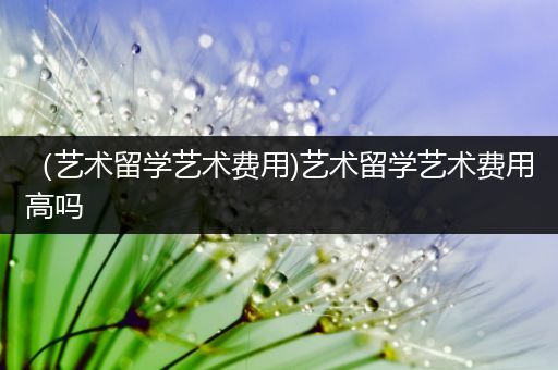 （艺术留学艺术费用)艺术留学艺术费用高吗