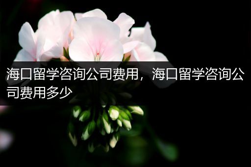 海口留学咨询公司费用，海口留学咨询公司费用多少
