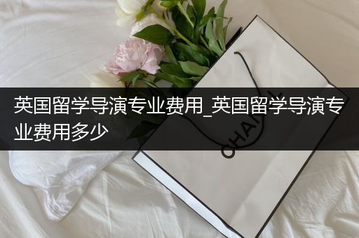 英国留学导演专业费用_英国留学导演专业费用多少