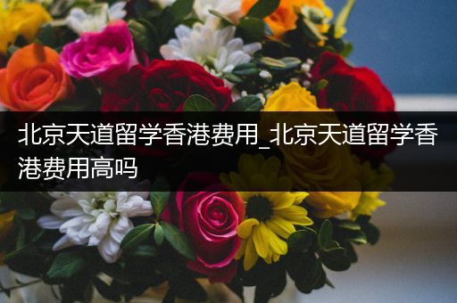 北京天道留学香港费用_北京天道留学香港费用高吗