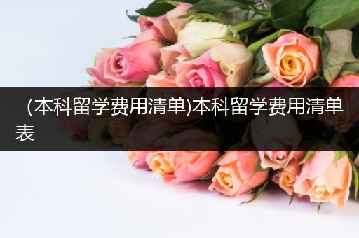 （本科留学费用清单)本科留学费用清单表