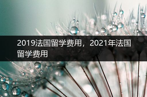 2019法国留学费用，2021年法国留学费用