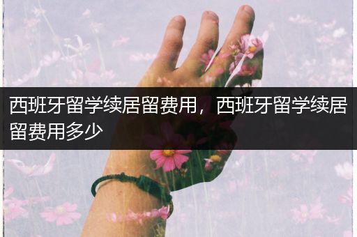 西班牙留学续居留费用，西班牙留学续居留费用多少