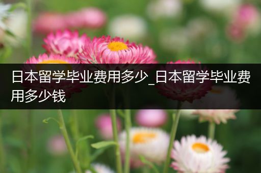 日本留学毕业费用多少_日本留学毕业费用多少钱