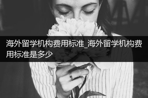 海外留学机构费用标准_海外留学机构费用标准是多少