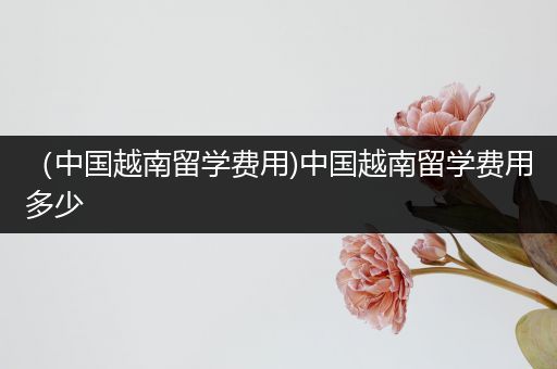 （中国越南留学费用)中国越南留学费用多少