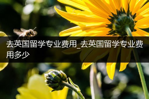 去英国留学专业费用_去英国留学专业费用多少