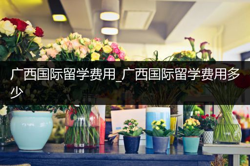 广西国际留学费用_广西国际留学费用多少
