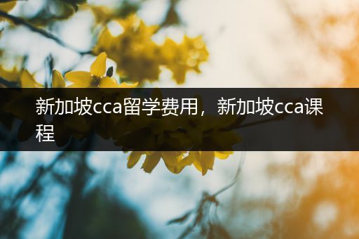 新加坡cca留学费用，新加坡cca课程