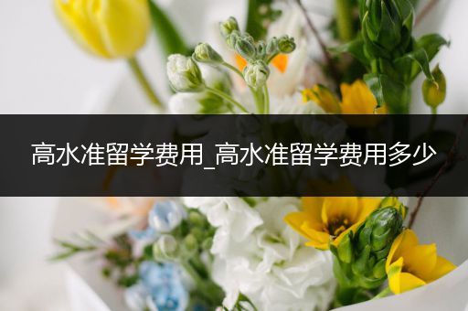 高水准留学费用_高水准留学费用多少