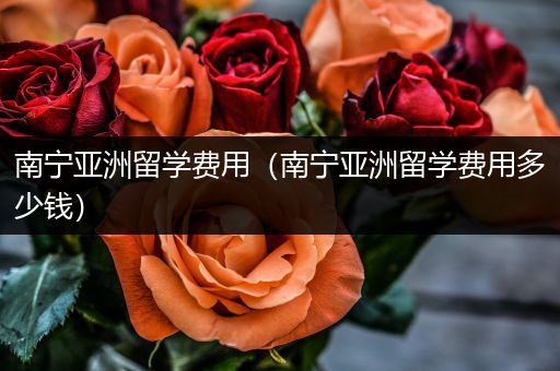 南宁亚洲留学费用（南宁亚洲留学费用多少钱）