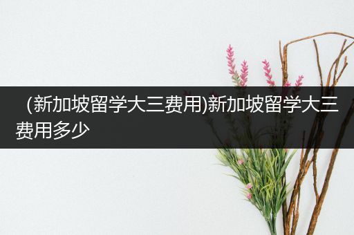 （新加坡留学大三费用)新加坡留学大三费用多少