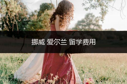 挪威 爱尔兰 留学费用