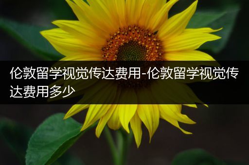 伦敦留学视觉传达费用-伦敦留学视觉传达费用多少
