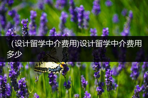 （设计留学中介费用)设计留学中介费用多少