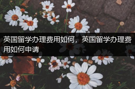 英国留学办理费用如何，英国留学办理费用如何申请