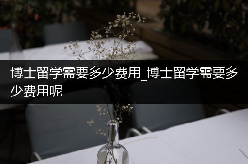 博士留学需要多少费用_博士留学需要多少费用呢