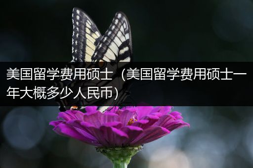 美国留学费用硕士（美国留学费用硕士一年大概多少人民币）