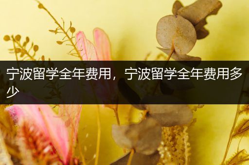 宁波留学全年费用，宁波留学全年费用多少