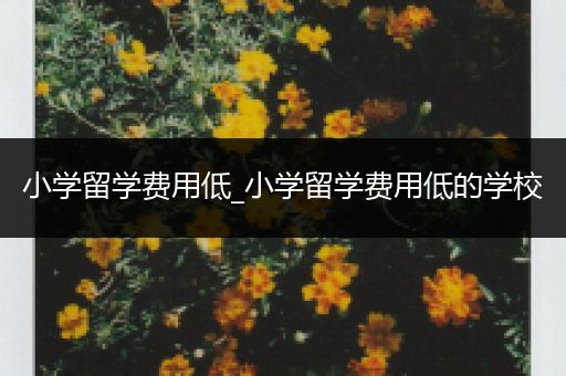 小学留学费用低_小学留学费用低的学校