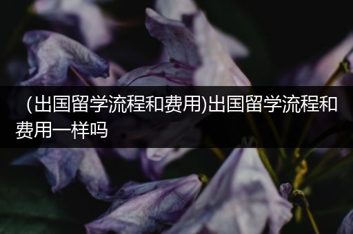 （出国留学流程和费用)出国留学流程和费用一样吗