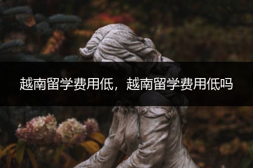 越南留学费用低，越南留学费用低吗