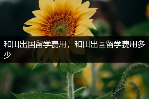 和田出国留学费用，和田出国留学费用多少