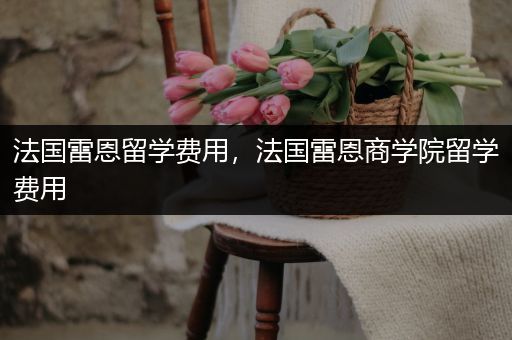 法国雷恩留学费用，法国雷恩商学院留学费用
