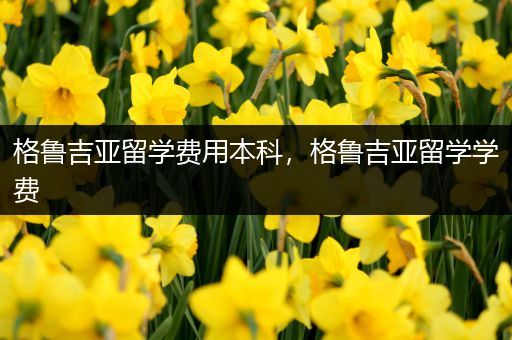 格鲁吉亚留学费用本科，格鲁吉亚留学学费