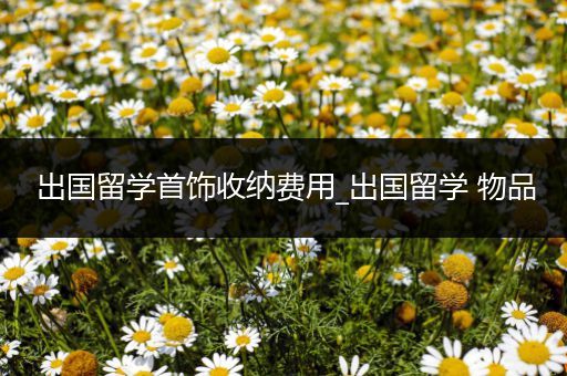 出国留学首饰收纳费用_出国留学 物品