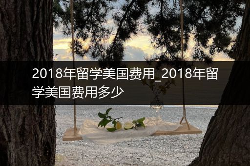 2018年留学美国费用_2018年留学美国费用多少