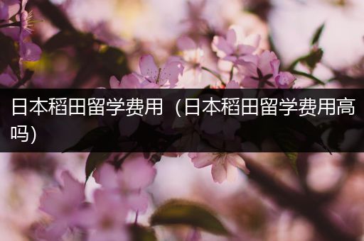 日本稻田留学费用（日本稻田留学费用高吗）