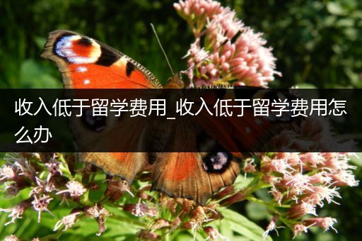 收入低于留学费用_收入低于留学费用怎么办