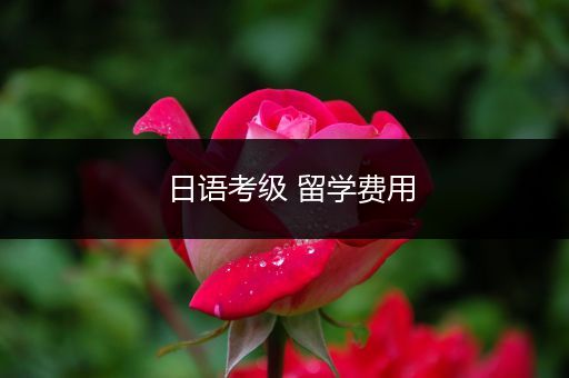 日语考级 留学费用
