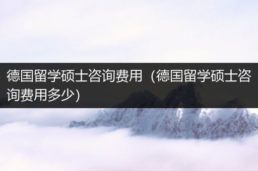 德国留学硕士咨询费用（德国留学硕士咨询费用多少）