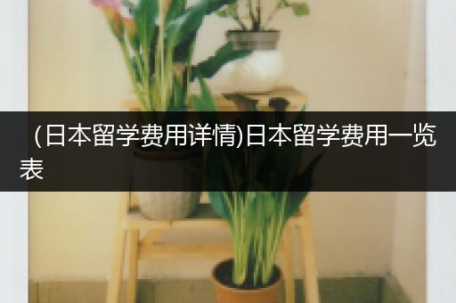 （日本留学费用详情)日本留学费用一览表