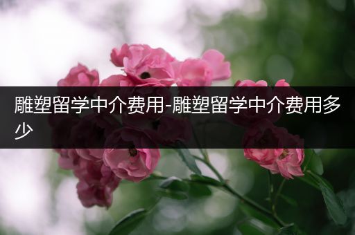 雕塑留学中介费用-雕塑留学中介费用多少