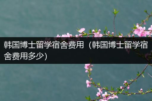 韩国博士留学宿舍费用（韩国博士留学宿舍费用多少）