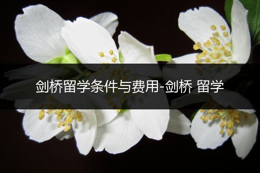 剑桥留学条件与费用-剑桥 留学