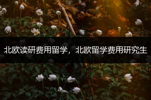 北欧读研费用留学，北欧留学费用研究生