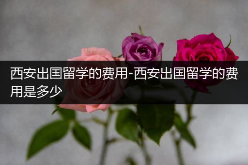 西安出国留学的费用-西安出国留学的费用是多少