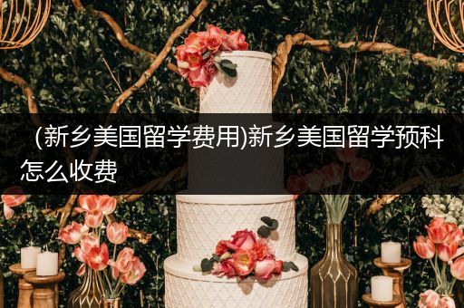 （新乡美国留学费用)新乡美国留学预科怎么收费