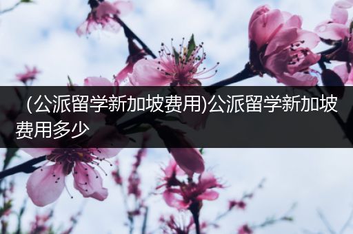 （公派留学新加坡费用)公派留学新加坡费用多少