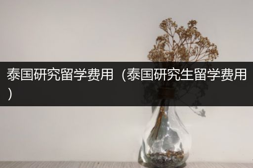 泰国研究留学费用（泰国研究生留学费用）