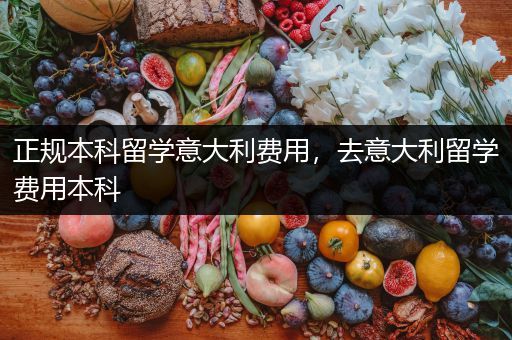 正规本科留学意大利费用，去意大利留学费用本科