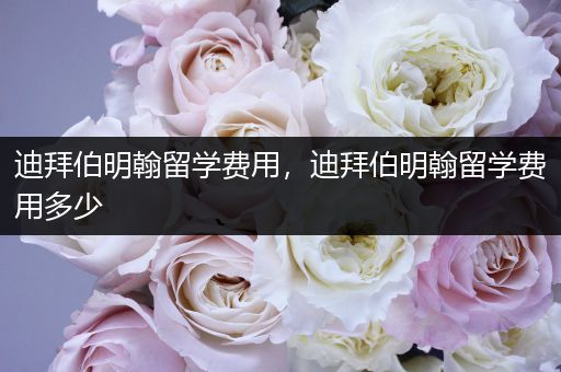 迪拜伯明翰留学费用，迪拜伯明翰留学费用多少