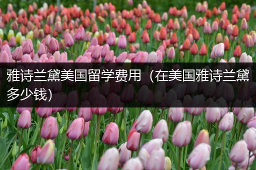 雅诗兰黛美国留学费用（在美国雅诗兰黛多少钱）