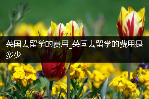 英国去留学的费用_英国去留学的费用是多少